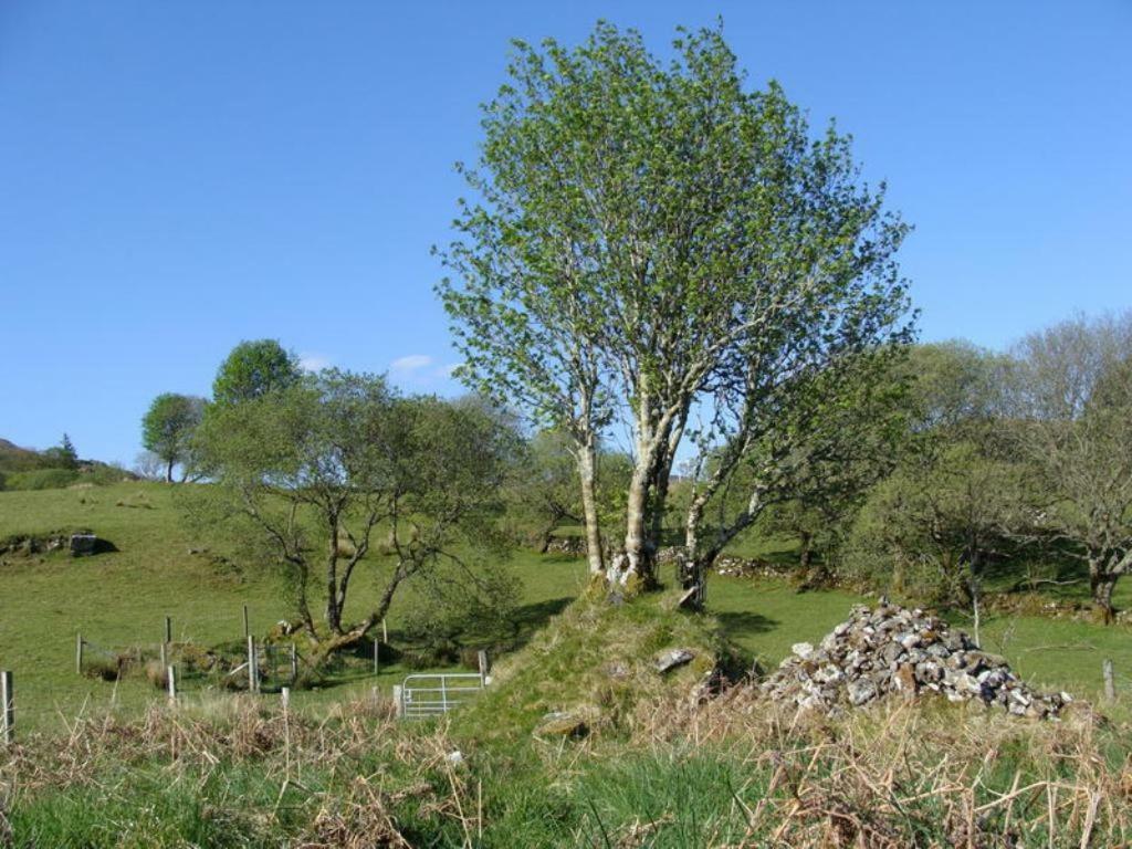 The Bluestack Centre Vandrarhem Donegal Town Exteriör bild